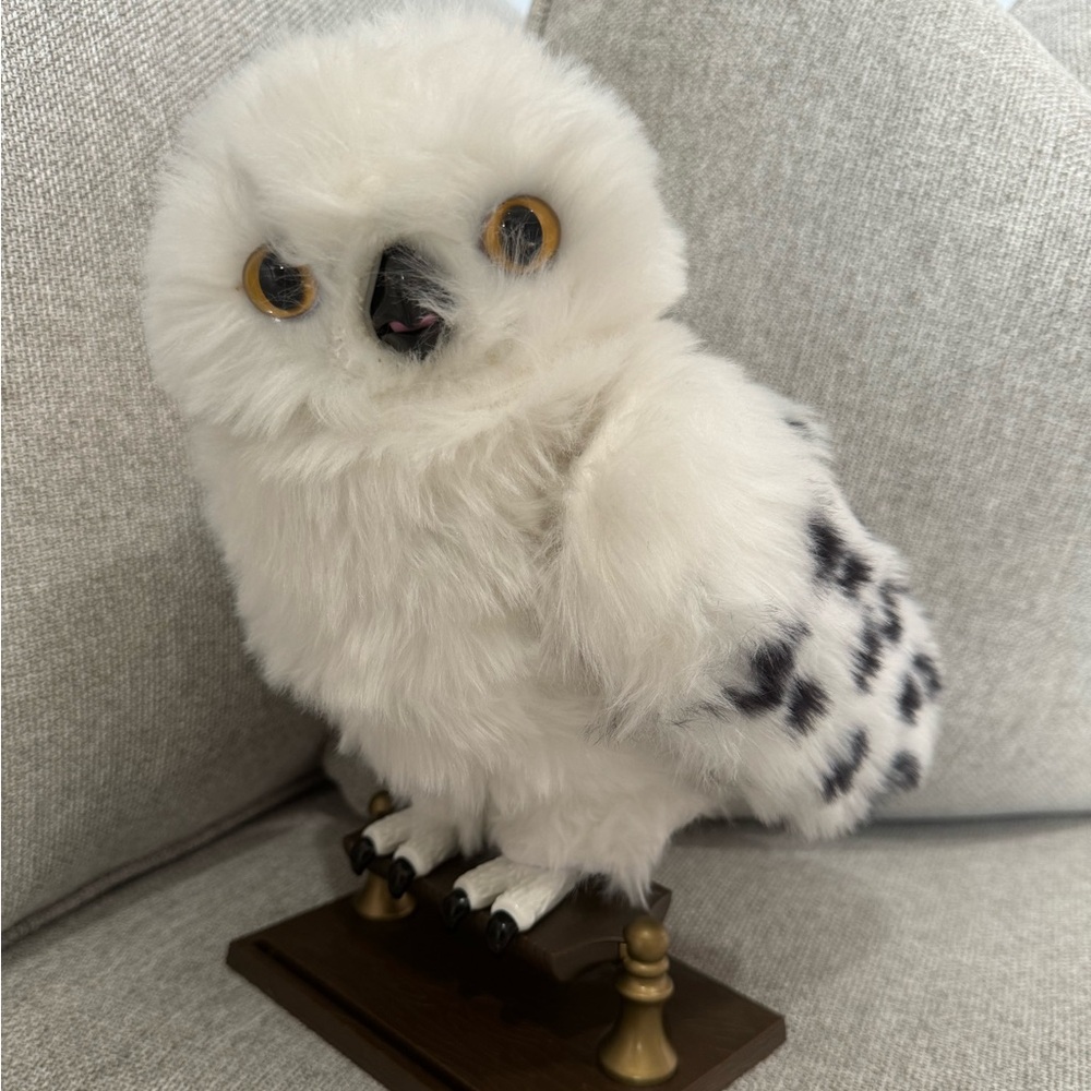 Enchanting Hedwig (Harry Potter)